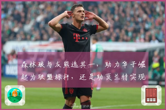 森林狼与灰熊选其一，助力华子崛起为联盟标杆，还是助莫兰特实现重生？