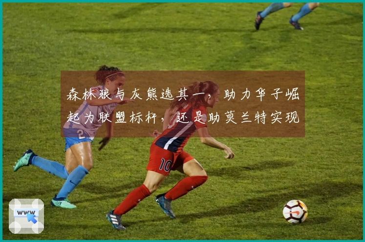 森林狼与灰熊选其一，助力华子崛起为联盟标杆，还是助莫兰特实现重生？